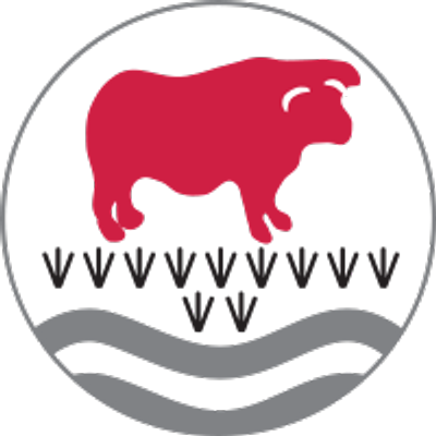 The Bulmershe School Logo