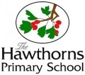 The Hawthorns Primary School