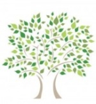 Wessex Primary School logo